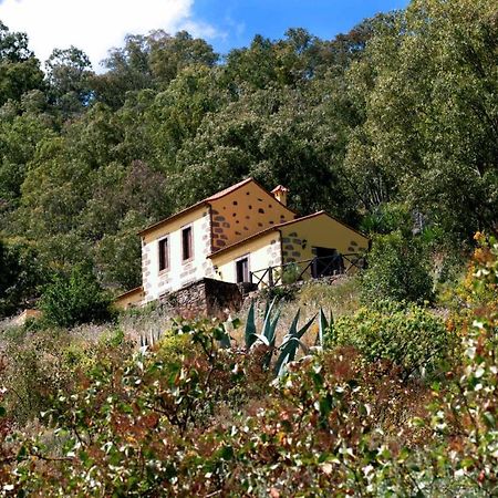 Casa Rural Las Caldereras Teror Dış mekan fotoğraf
